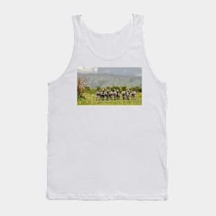 The zebras-amazing picture Tank Top